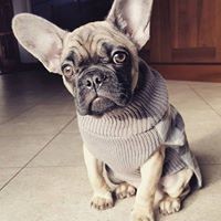 Profile Picture of Adrian Boyle (@adrian-boyle-2) on Quora