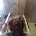 Profile Picture of virgil cross (@virgil.crossley) on Facebook