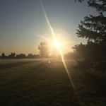 Profile Picture of John (@john_chicken_nuggets) on Instagram