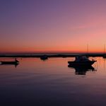 Profile Picture of Oliver Michael Swinford-Howe (@myphotography_w0lfie) on Instagram