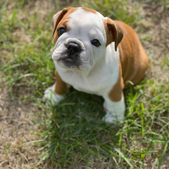 Profile Picture of Nicolle Kulesa (@nsk1092004) on Poshmark