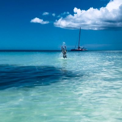 Profile Picture of James McMahon (@jamesmcmahonbfd) on Twitter