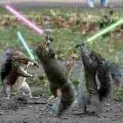 Profile Picture of Jon McGinley (@Snowmanjm) on Twitter