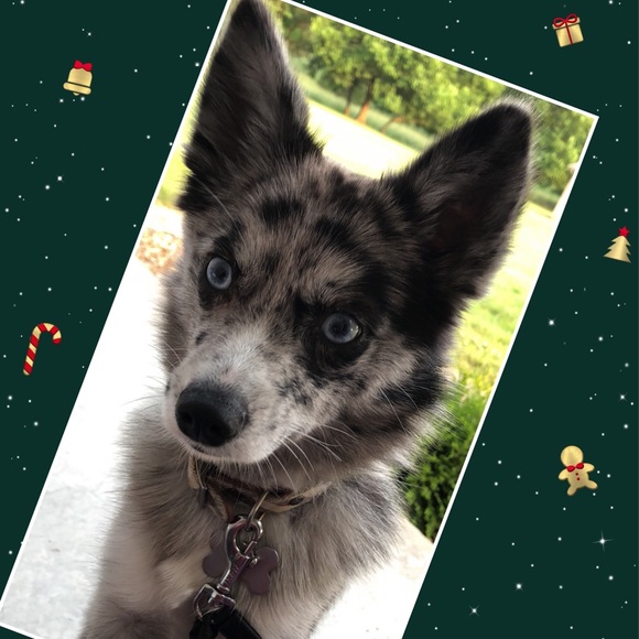 Profile Picture of Lan Lin (@nancy_0123) on Poshmark