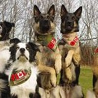 Profile Picture of Jj White (@jj-white-10) on Quora