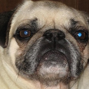 Profile Picture of Isaac Doubek (@giant_headphones) on Myspace