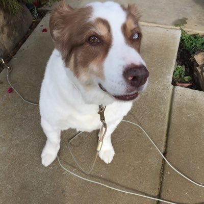 Profile Picture of Steve Arriola (@stevearriola6) on Twitter