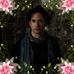Profile Picture of Peter Apfelbaum (@peter.apfelbaum) on Facebook