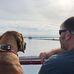 Profile Picture of Adam Guttman (@adam.guttman.7) on Facebook