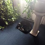 Profile Picture of Robert Rando (@robert.rando.984) on Facebook