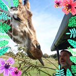 Profile Picture of Steven Jasper (@steven.jasper.37) on Instagram