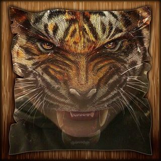 Profile Picture of Damien Felix (@Damien-Felix) on Facebook