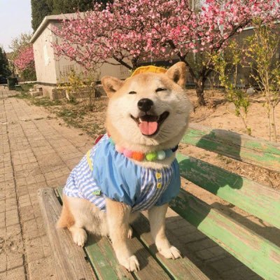 Profile Picture of Steven Sia Aik Chee (@SiaAik) on Twitter