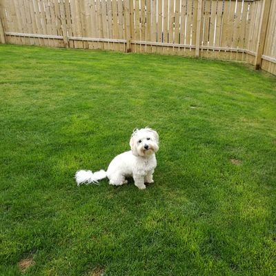 Profile Picture of Janet Carson (@JanetCa68230825) on Twitter