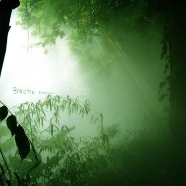 Profile Picture of Thomas Hansel (@Thomass_H) on Twitter