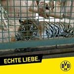 Profile Picture of Andreas Savvidis (@andreas.savvidis.75) on Instagram