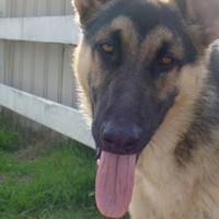 Profile Picture of Javier Arambula (@javier-arambula-4) on Quora