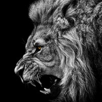 Profile Picture of Imran Ibrahim (@imran-ibrahim-9) on Quora