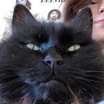 Profile Picture of Claudia Arola (@cladetus) on Instagram