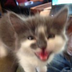 Profile Picture of Michael James Roberson (@ltkenfrankenstein) on Instagram