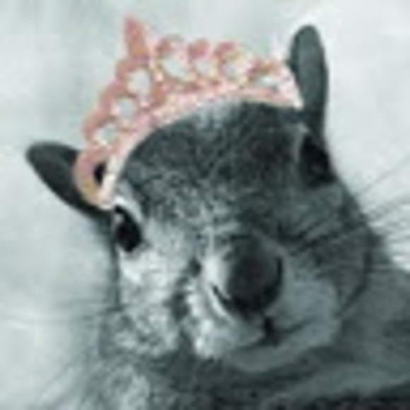 Profile Picture of Danielle Zeedick (@skwerlqueen) on Poshmark