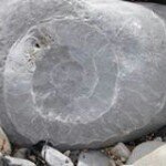 Profile Picture of Kay Bradley-Higgins (@kay.bradleyhiggins) on Instagram