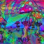 Josh - Instagram Profile Picture of Josh (@joshua_jurado29) on Instagram