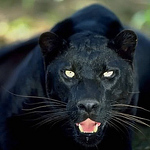 Profile Picture of Juan Carlos Romero Gonzales (@jcarlos.romero76) on Flickr