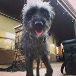 Profile Picture of Eric Gee (@ericguerrette) on Instagram