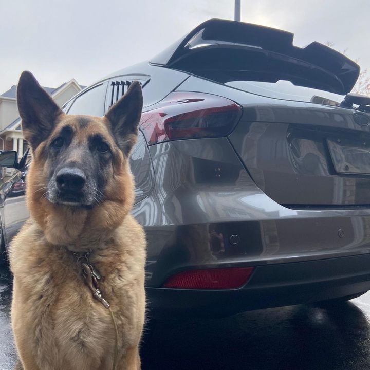 Profile Picture of Justin Picard (@@justin.picard) on Tiktok