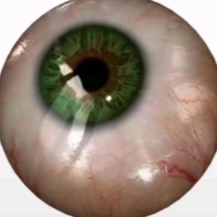 Profile Picture of Caitlyn👩‍🎤 (@@caitlynlackey) on Tiktok