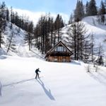 Profile Picture of Scott Rickard (@scott_rickard6) on Instagram