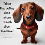 Profile Picture of Janet Hilderman (@janet.hilderman.3) on Facebook