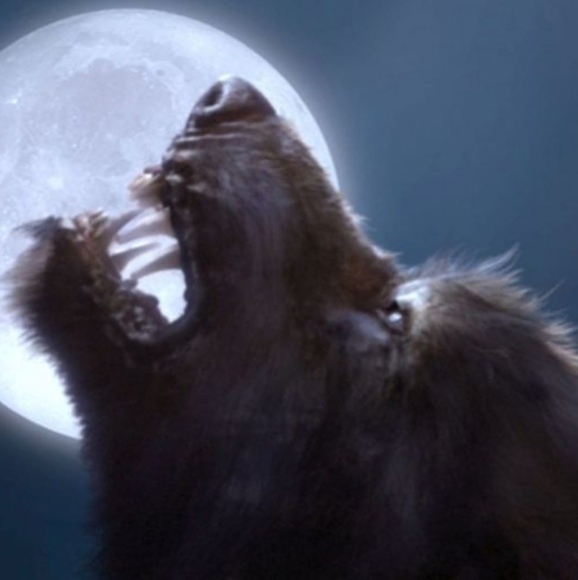 Profile Picture of Mike Kovarik (@mikekovarik) on Poshmark