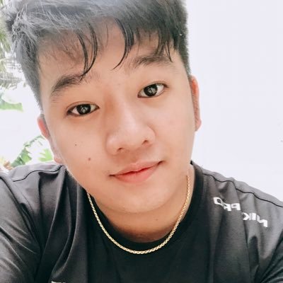 Profile Picture of DatHo (@DatHo8725830195) on Twitter