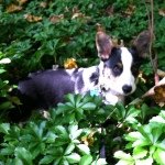 Profile Picture of Jennifer Kemper (@ajv2ngigi) on Instagram