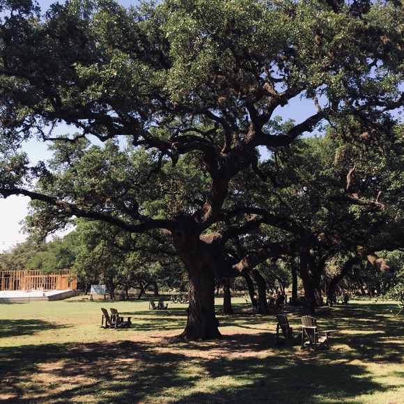 Profile Picture of Tenaj Bookal (@tenstyles) on Poshmark