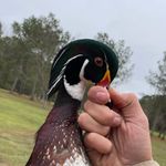 Profile Picture of Will Thomas Calcote (@wt.calcote) on Instagram