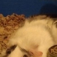 Profile Picture of Danielle Foster (@danielle-foster-50) on Quora