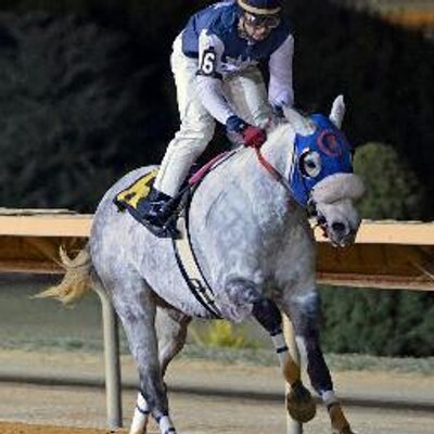 Profile Picture of Richard Hummer (@salafred) on Twitter