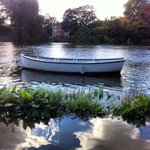 Profile Picture of Jeffrey Nevin (@gunshrita) on Instagram