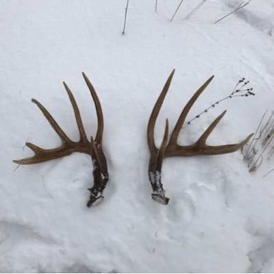 Profile Picture of Joe Perkovich (@JoePerkovich) on Twitter