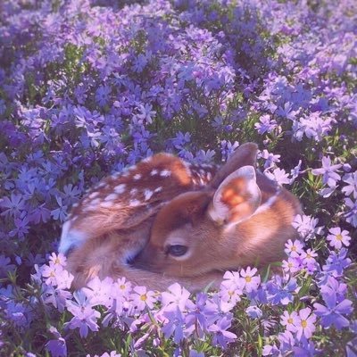 Profile Picture of Ling Xie (@LingXie7) on Twitter