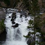 Profile Picture of William Grissom (@grissom.william) on Instagram