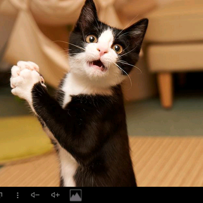 Profile Picture of Юлия (@julialeyba93) on Twitter