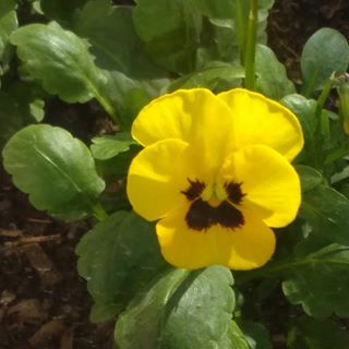 Profile Picture of Silvia Simonetti (@silvia.simonetti.391) on Facebook