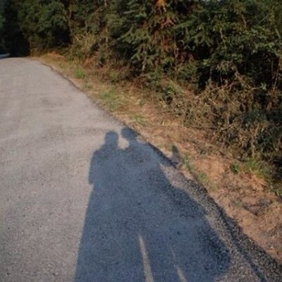 Profile Picture of Davis Chung (@chengdaishuang) on Twitter