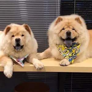 Profile Picture of Sidney & Pawpaw (@pawpawsidney) on Tiktok