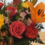 Profile Picture of Sherry Pollack (@pollack_sherry) on Instagram