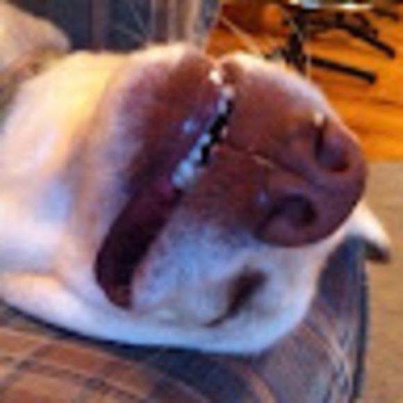 Profile Picture of Allen Grant (@allengrant245) on Poshmark